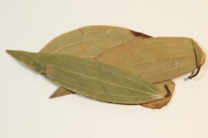 Bay Leaves